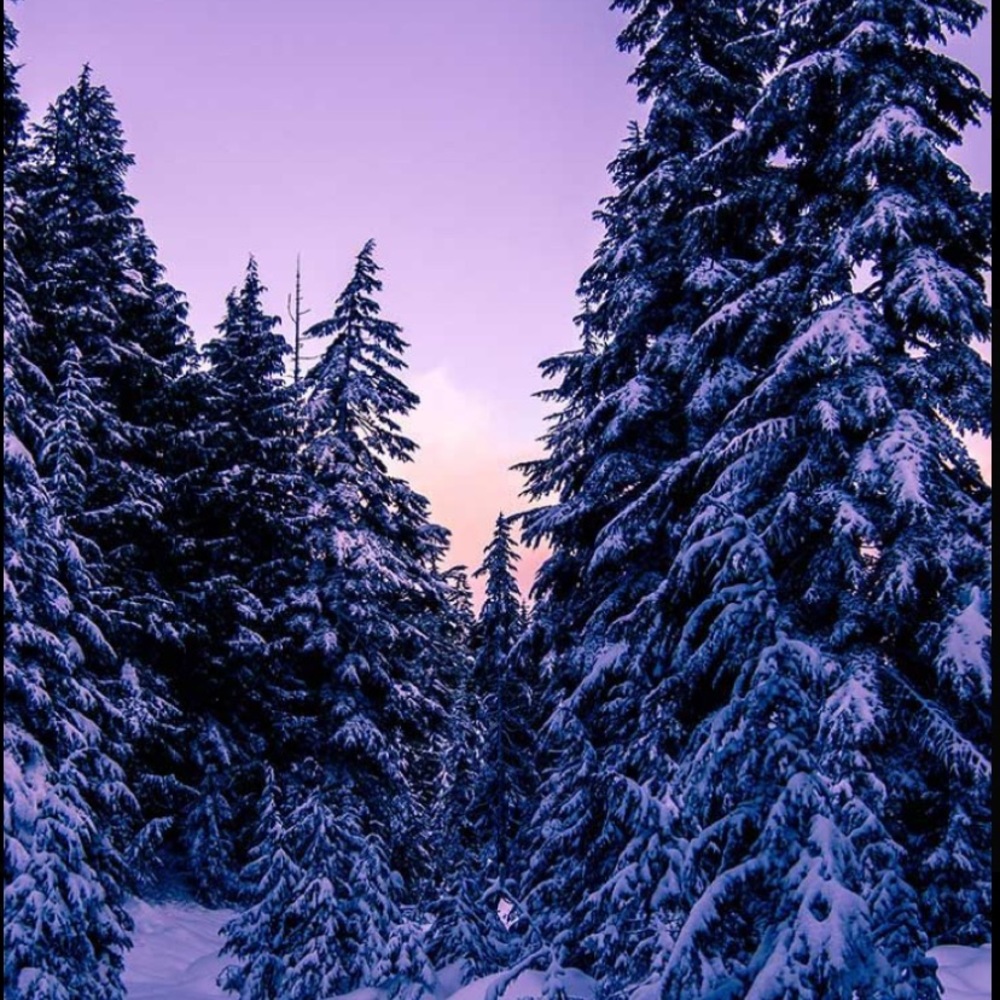 Meet your Posher, Amina